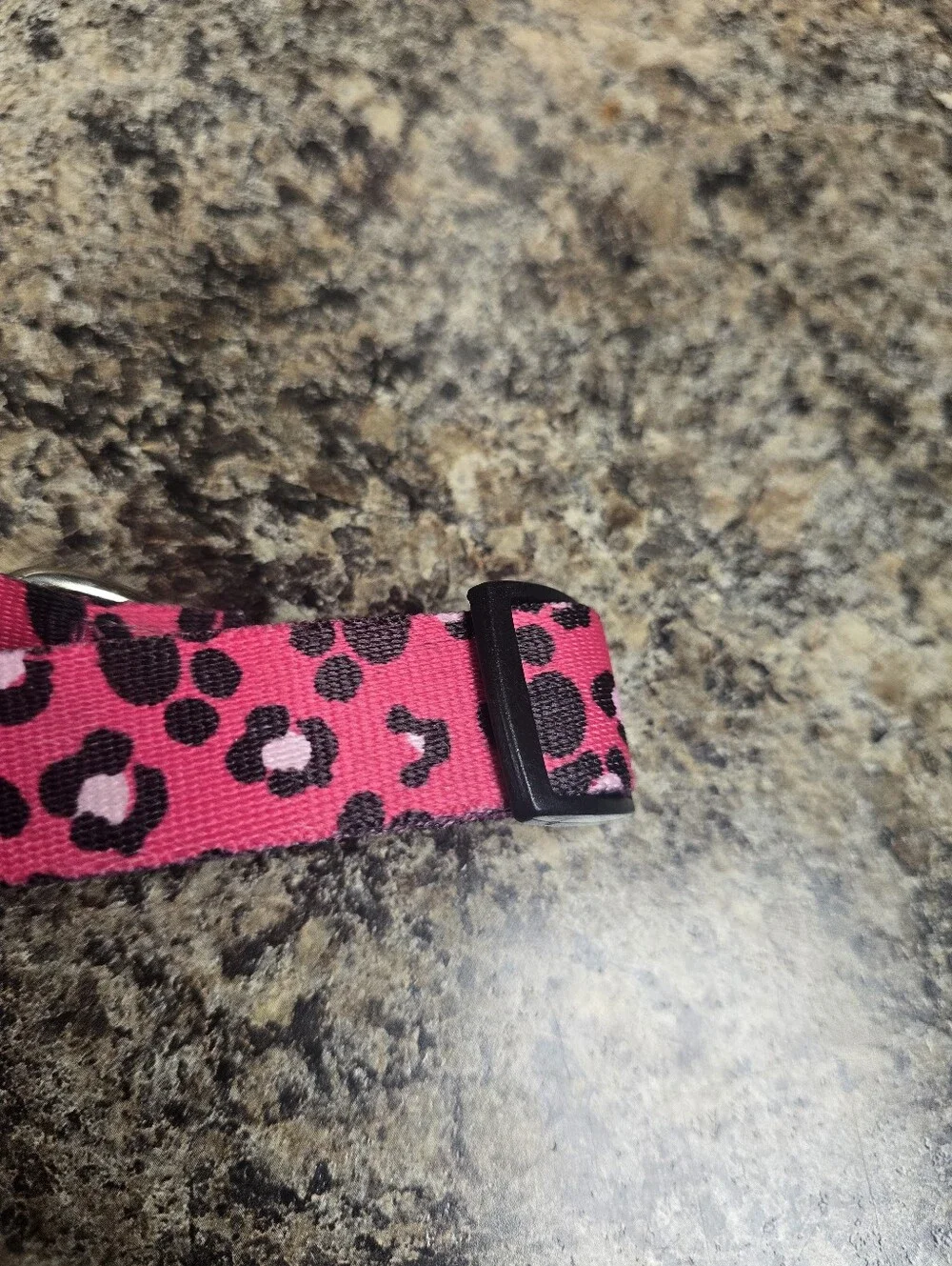Pink Leopard Print Adjustable Collar with D-Ring